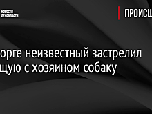В Выборге неизвестный застрелил гуляющую с хозяином собаку