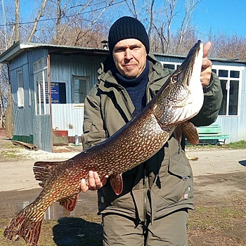 Рыбак из Сызрани выловил гигантскую хищницу