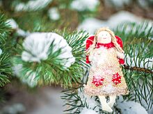 Девочка Зима и Санта по соседству. Пять книг для чтения с детьми