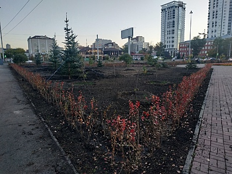 Площадь Павших революционеров в Челябинске обзавелась живой изгородью