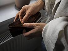 Россиянам раскрыли самый популярный способ увеличить доход