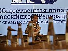 Общественную палату Севастополя готовят к самороспуску