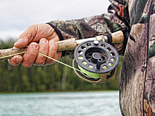 В Самарской области предлагают снять ограничения на ловлю карасей и окуней