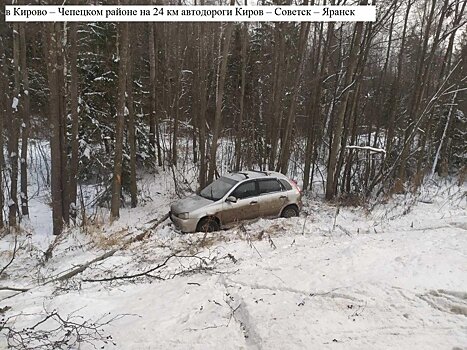 В Кирово-Чепецком районе экскурсию водителя «Калины» в кювет остановило дерево