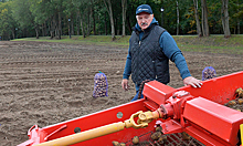 Лукашенко нашел спасение в картошке