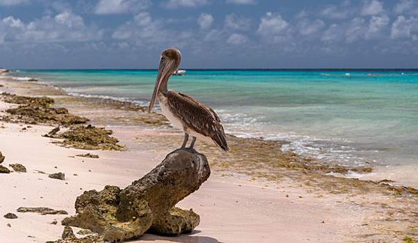 Кубинский курорт Ольгин готов вновь принимать туристов