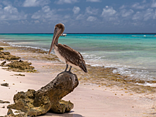 Кубинский курорт Ольгин готов вновь принимать туристов