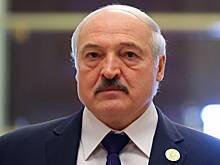 Лукашенко увидел противоречие в собственной идее