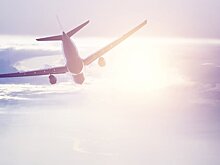 DM: в Британии самолет совершил аварийную посадку из-за столкновения с лебедями