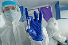 Росгвардия закупит тесты на антитела к коронавирусу для сотрудников