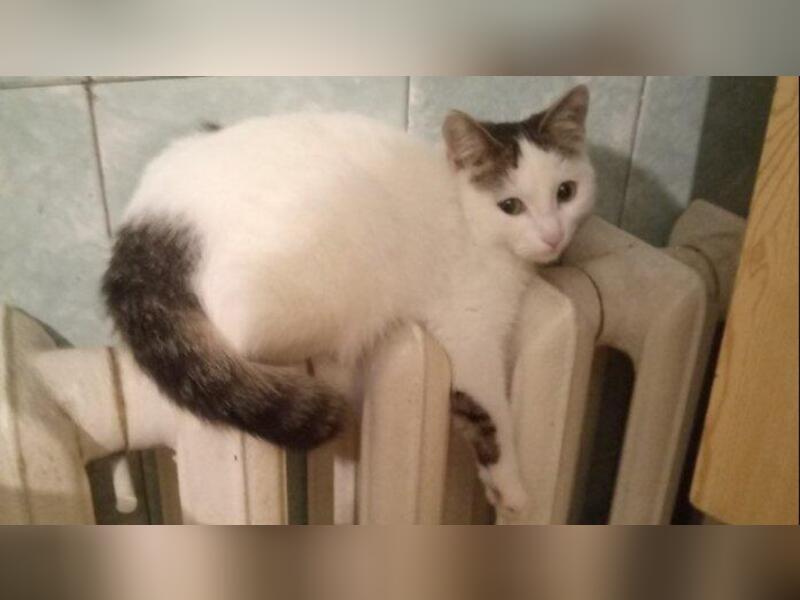 Горячую воду и отопление отключили на Острове в Чите