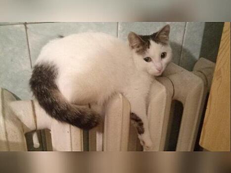 Жители Могочи уже неделю остаются без горячей воды