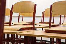 Директора школы в Липецкой области уволили после избиения шестиклассницы