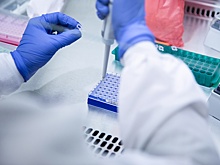 Госдума упростила поиск пропавших родственников