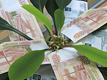 В Новосибирской области увеличивается финансирование нескольких приоритетных направлений