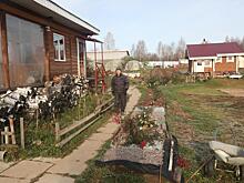 Садный инстинкт: как законно купить землю у государства за полцены