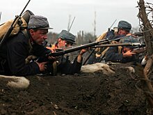 Волчье перемирие: как хищники остановили войну