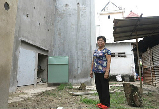 Десятки ласточек поселились в доме у вьетнамки