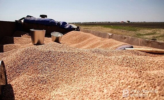Япония в июле нарастила импорт зерновых из России на 5680%