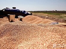Япония в июле нарастила импорт зерновых из России на 5680%
