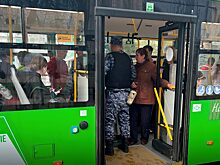 «Зайцы» обходятся в 100 миллионов