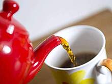 Посол Кении в Москве опроверг слова Борреля об Африке и Путине