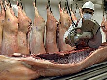 Эксперты рассказали, что будет с ценами на мясо для шашлыков