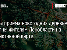 Пункты приема новогодних деревьев доступны жителям Ленобласти на интерактивной карте