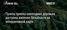 Пункты приема новогодних деревьев доступны жителям Ленобласти на интерактивной карте