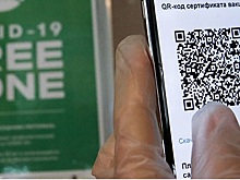 Воронежские власти готовятся ввести QR-коды для посещения кафе и ресторанов