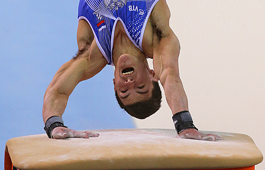 Далалоян завоевал золото чемпионата России