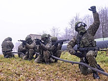 Baza: среди нападавших на Белгородскую область были российские осуждённые неонацисты