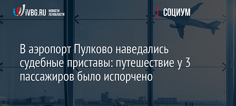 В аэропорт Пулково наведались судебные приставы: путешествие у 3 пассажиров было испорчено