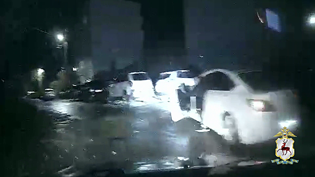 В Нижегородской области задержанный инспекторами ДПС нетрезвый водитель арестован на 13 суток