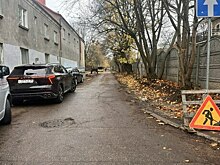 Дятлова рассказала, как специально завела губернатора на улицу без тротуаров