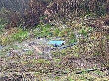 Пьяный водитель слетел в кювет на вологодской трассе: пострадали три подростка 