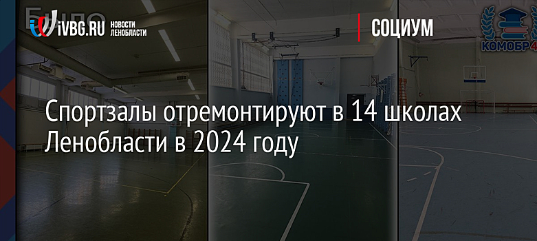 Спортзалы отремонтируют в 14 школах Ленобласти в 2024 году