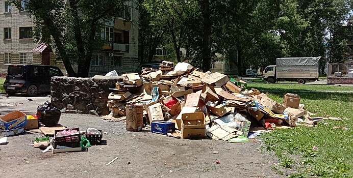 Соцсети спасают Хабаровск от мусора, но не везде