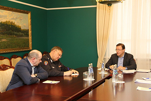 Губернатор Самарской области обсудил вопросы общественной безопасности с замминистра МВД РФ