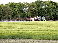 Запрет экспорта удобрений из Беларуси вызовет мировой голод &mdash; эксперт