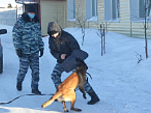 В Магаданской области продолжается Всероссийская акция «Студенческий десант - 2021»