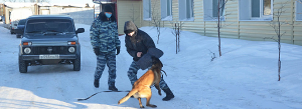 В Магаданской области продолжается Всероссийская акция «Студенческий десант - 2021»