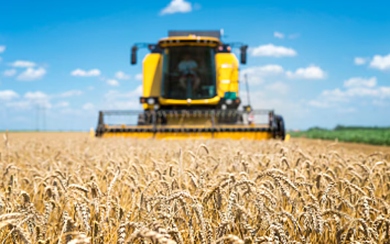 Агропромышленные инновации Новосибирской области представят на агропродовольственном форуме