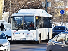 10 автобусов марки «Нефаз» начали курсировать по пяти маршрутам Вологды