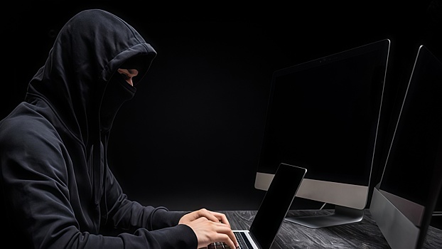 В Госдуме предупредили о схемах мошенничества с новогодними турами