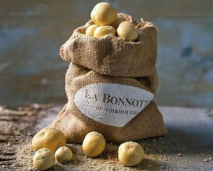 Самый дорогой картофель в мире: французский деликатес La Bonnotte