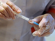 Врачи нашли средство для нейтрализаци вируса MERS у животных
