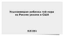 Усыновившая ребенка гей-пара из России уехала в США