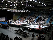 Подведены итоги Чемпионата и Первенства Оренбуржья по ММА