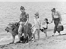 Что стало с советской семьей Берберовых, которые захотели одомашнить льва